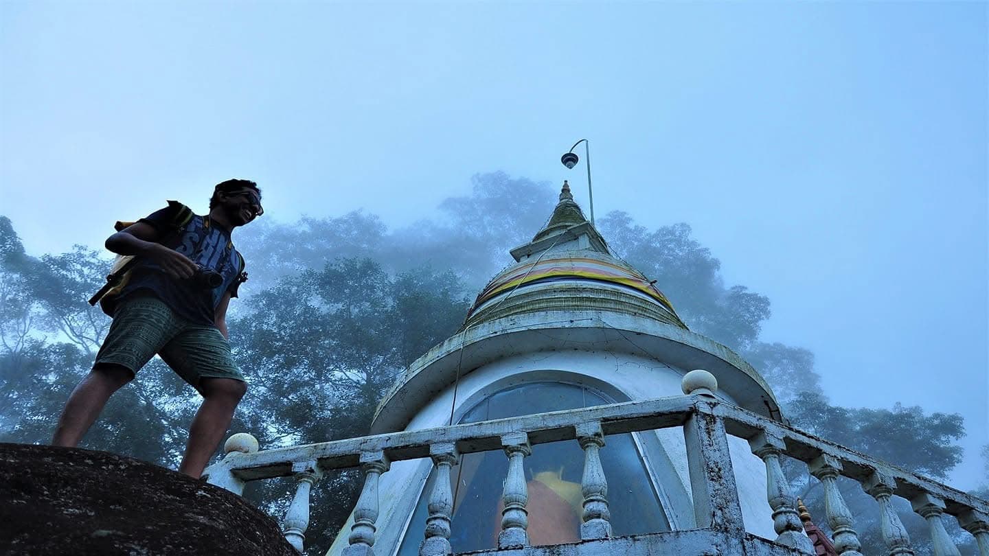 Forest mist lifting toward a stupa, soft light, depth, quiet journey