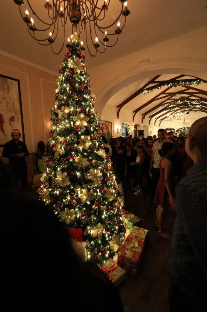 CHRISTMAS TREE LIGHTUP 